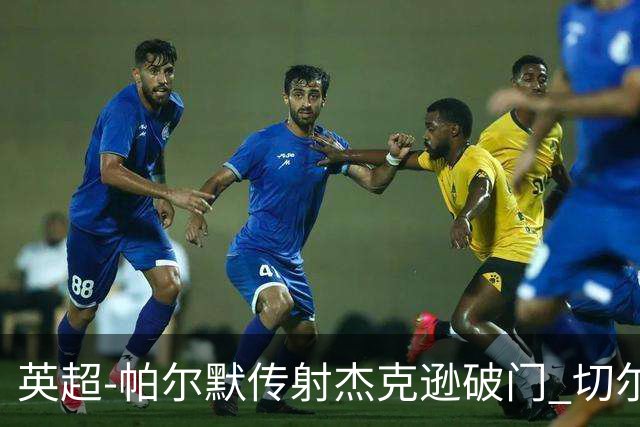 英超-帕尔默传射杰克逊破门 切尔西3-2纽卡斯尔